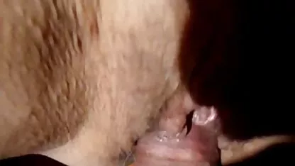 -犬のビュー:その3 無料 porn