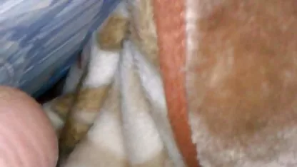 肛門滴下Creampie 無料 の ポルノ